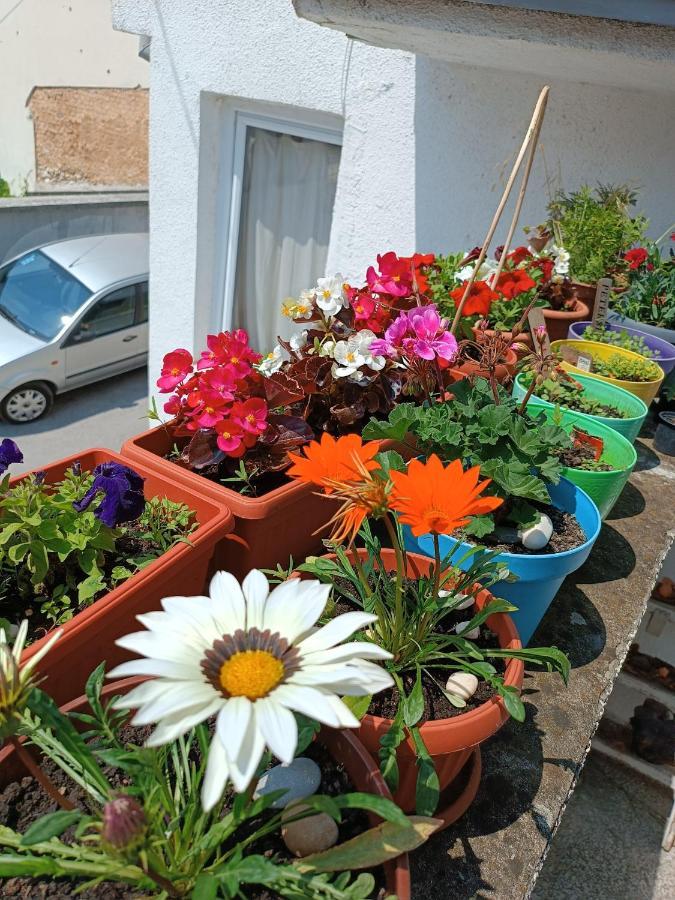Apartman Ohren Sarajevo Luaran gambar